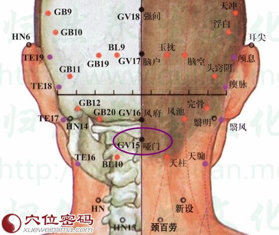 哑门穴的准确位置图