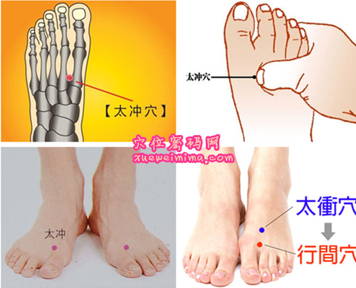 太冲穴的准确位置图（高清图组）