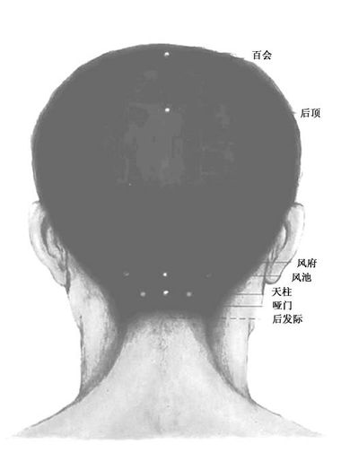 人体头部背面穴位图