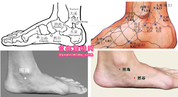 照海穴的准确位置图（高清图组）