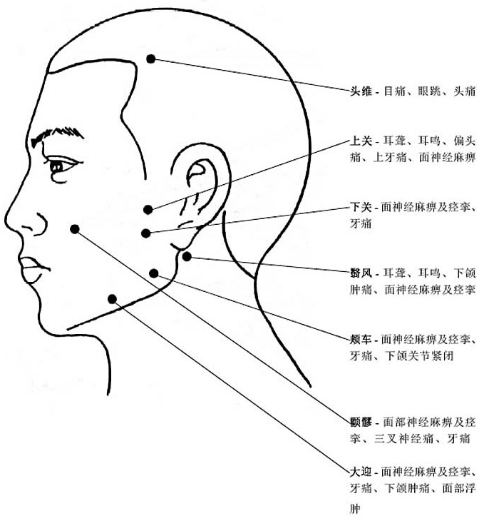 人体头部穴位图及作用功效