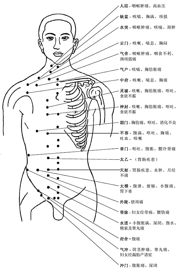 胸部腹部穴位图及作用功效