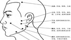 清晰直观的人体穴位作用【图解大全】
