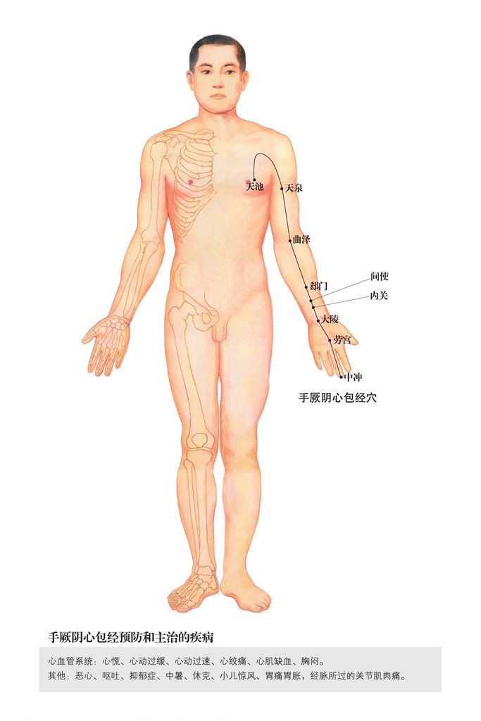 手厥阴心包经穴位图