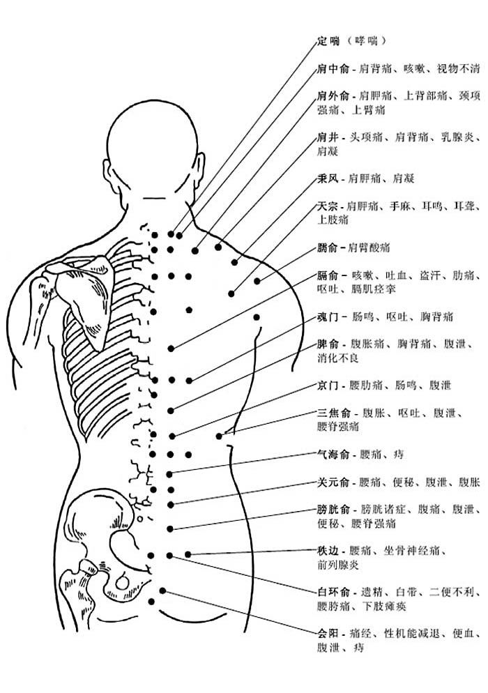 人体背部穴位图及作用功效