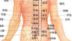 男性人体穴位图：十四经穴高清图解