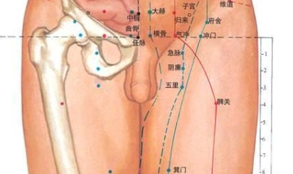 中医常用的男性人体穴位挂图大全