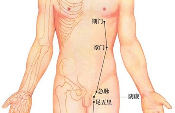 期门穴的位置图