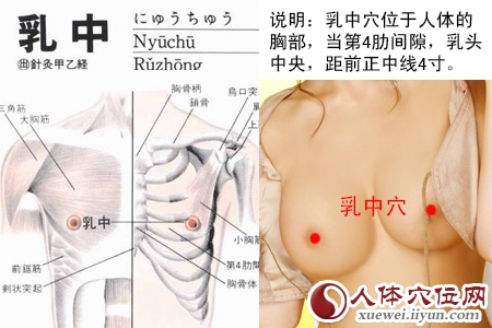 乳中穴位位置图