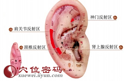 耳部理疗法