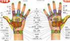 人体手部反射区图片(高清示意图详解)