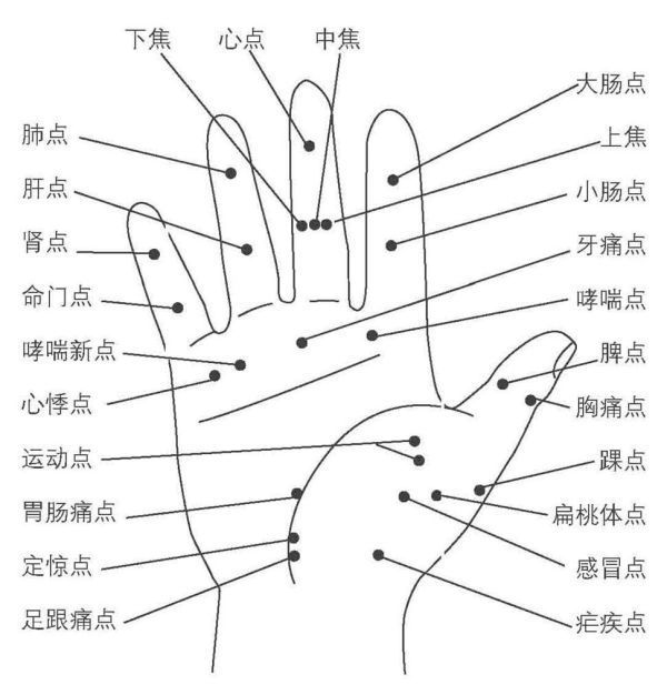 手掌穴位图