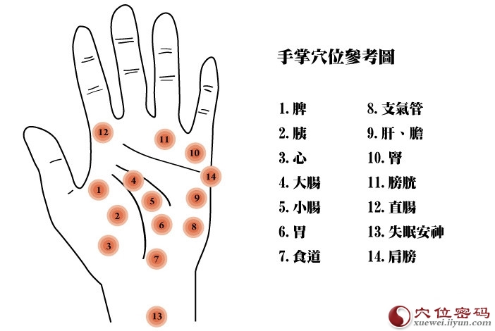 手掌穴位图