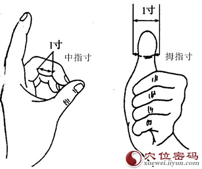 拇指中指同身寸法 比量示范图