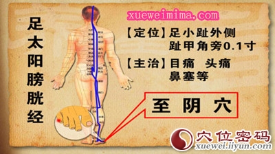 至阴穴的位置及作用功效