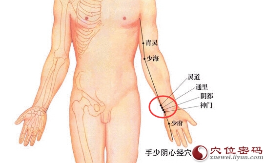 神门穴、阴郄、通里、灵道，四个穴位的准确位置图