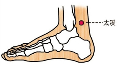 太溪穴的位置图