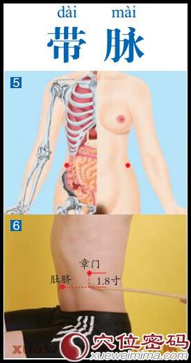 带脉穴