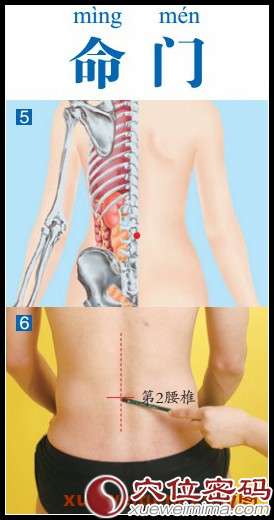 命门穴